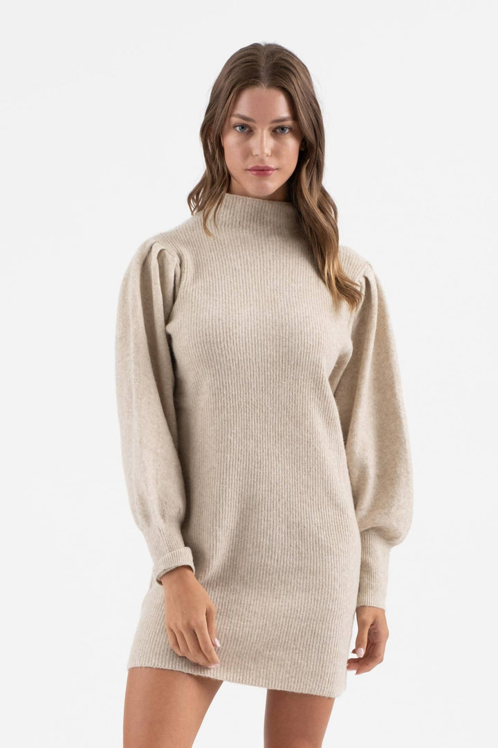 Blu Pepper Mock Neck Sweater Dress