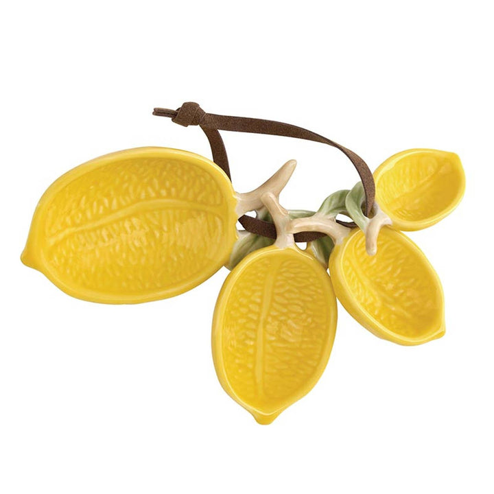 47th & Main - Lemon Measuring Spoons -