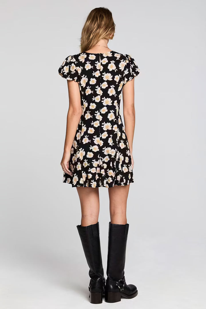 Saltwater Luxe Raleigh Mini Dress - Black back
