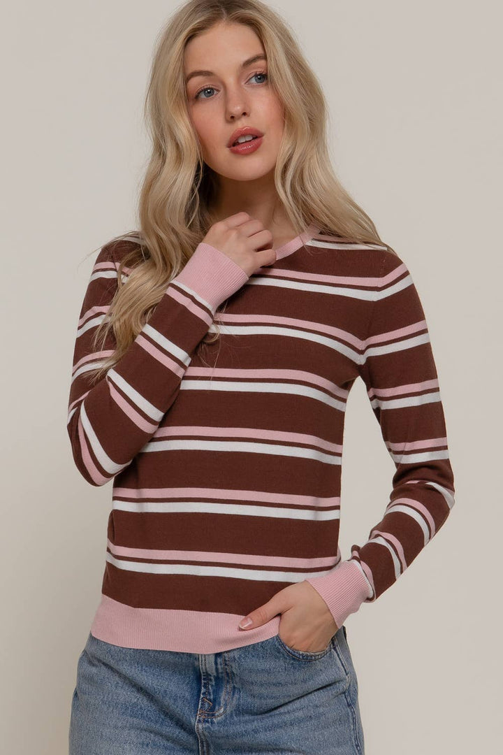 Active USA - Long Sleeve Round Neck Multi Stripe Sweater in Brown 2