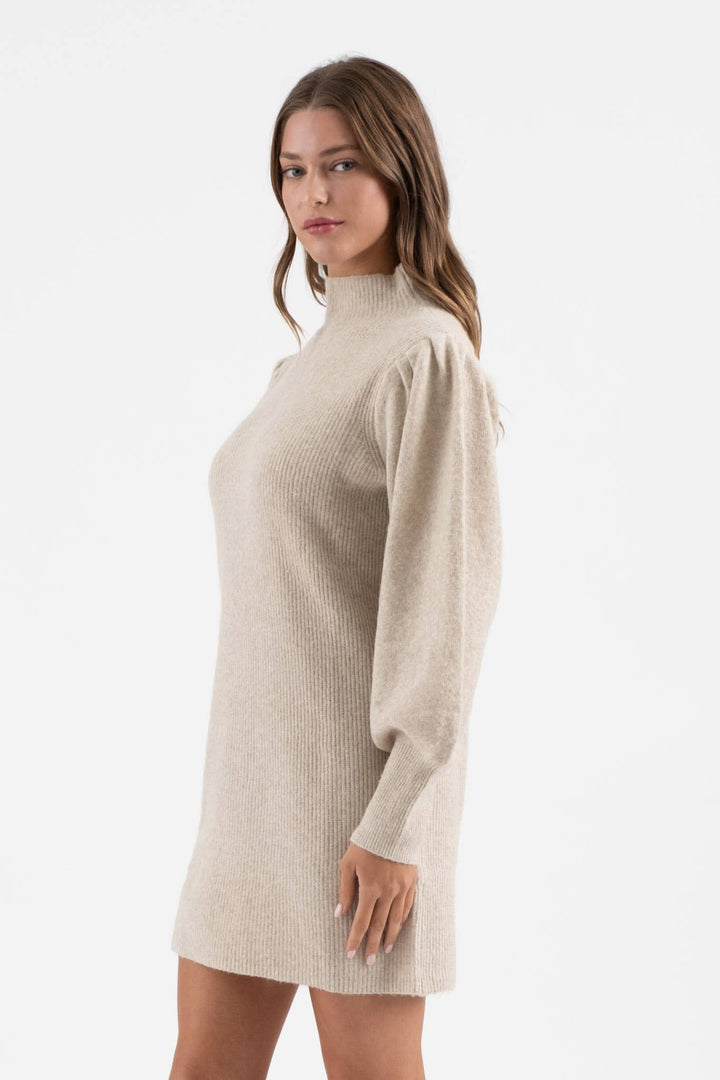 Blu Pepper Mock Neck Sweater Dress